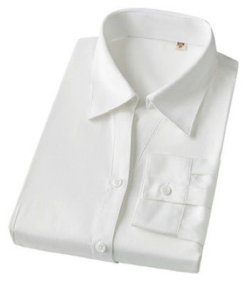 MTW6005 - Women's long sleeve dress shirt - Product photograph