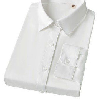 MTW6035 - Women's long sleeve dress shirt - Product photograph