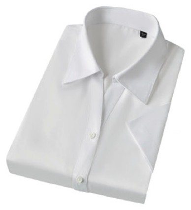 MTWD1009 - Women's short sleeve dress shirt - Product photograph
