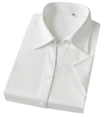 MTWD6005 - Women's short sleeve dress shirt - Product photograph