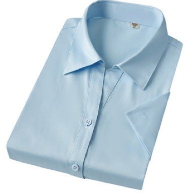 MTWD6006 - Women's short sleeve dress shirt - Product photograph