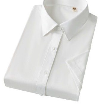 MTWD6035 - Women's short sleeve dress shirt - Product photograph