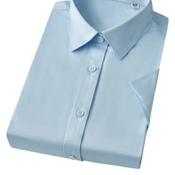 MTWD6036 - Women's short sleeve dress shirt - Product photograph