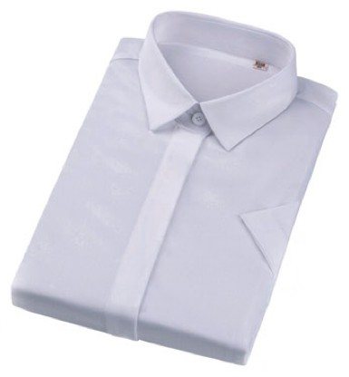 XWD5131 - Women's short sleeve dress shirt - Product photograph