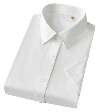 XWD6035 - Women's short sleeve dress shirt - Product photograph