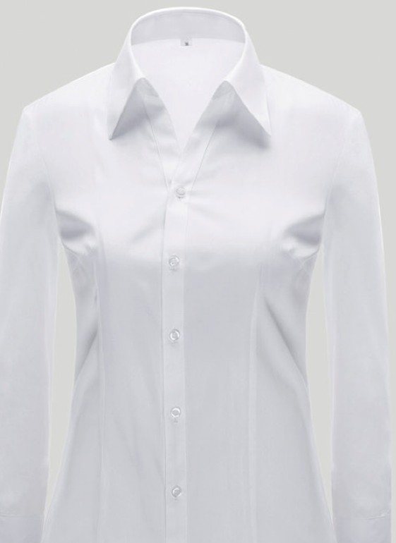YW4503 - Women's long sleeve dress shirt - Product photograph