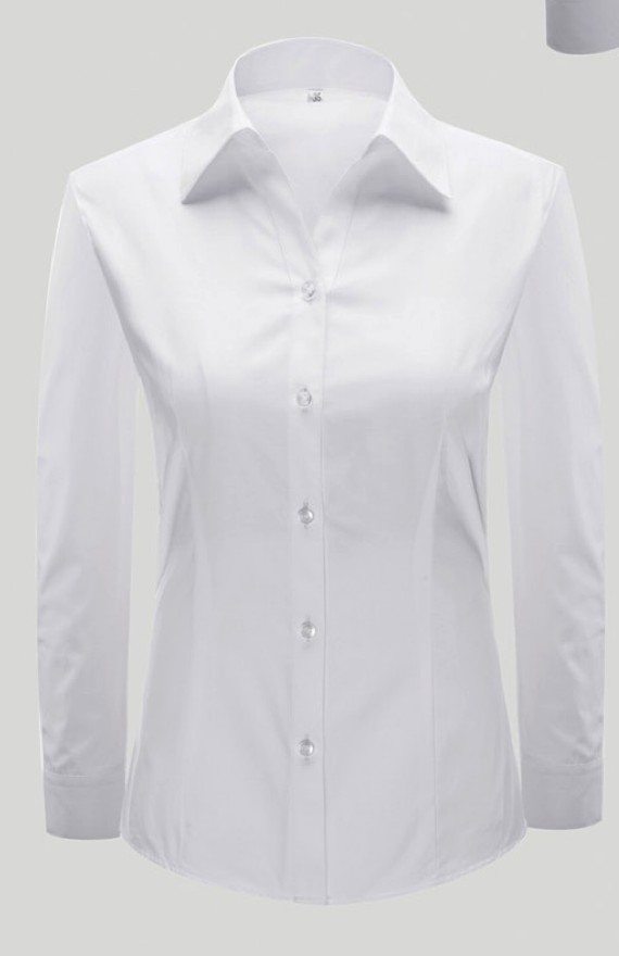 YW4516 - Women's long sleeve dress shirt - Product photograph
