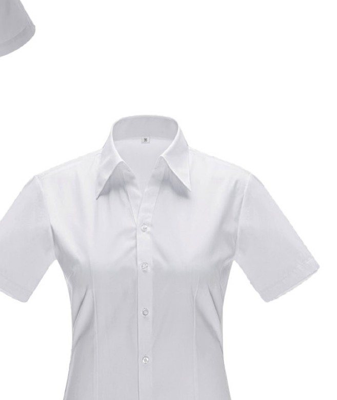 YWD4503 - Women's short sleeve dress shirt - Product photograph
