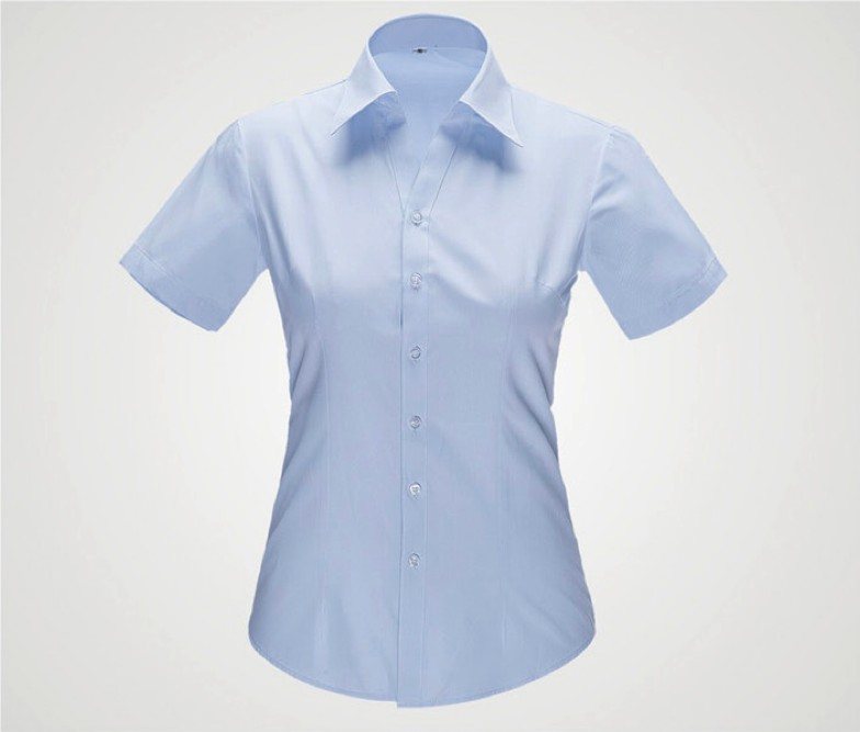 YWD4504 - Women's short sleeve dress shirt - Product photograph
