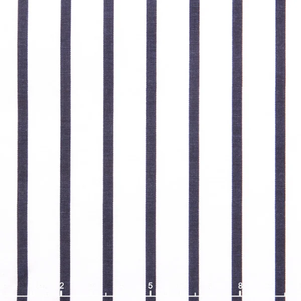 JamesTrend 465100-01 Bold pinstripe