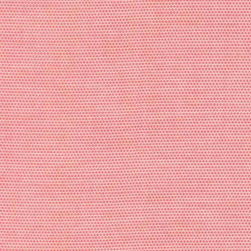 JamesTrend 539355-04 Spring salmon
